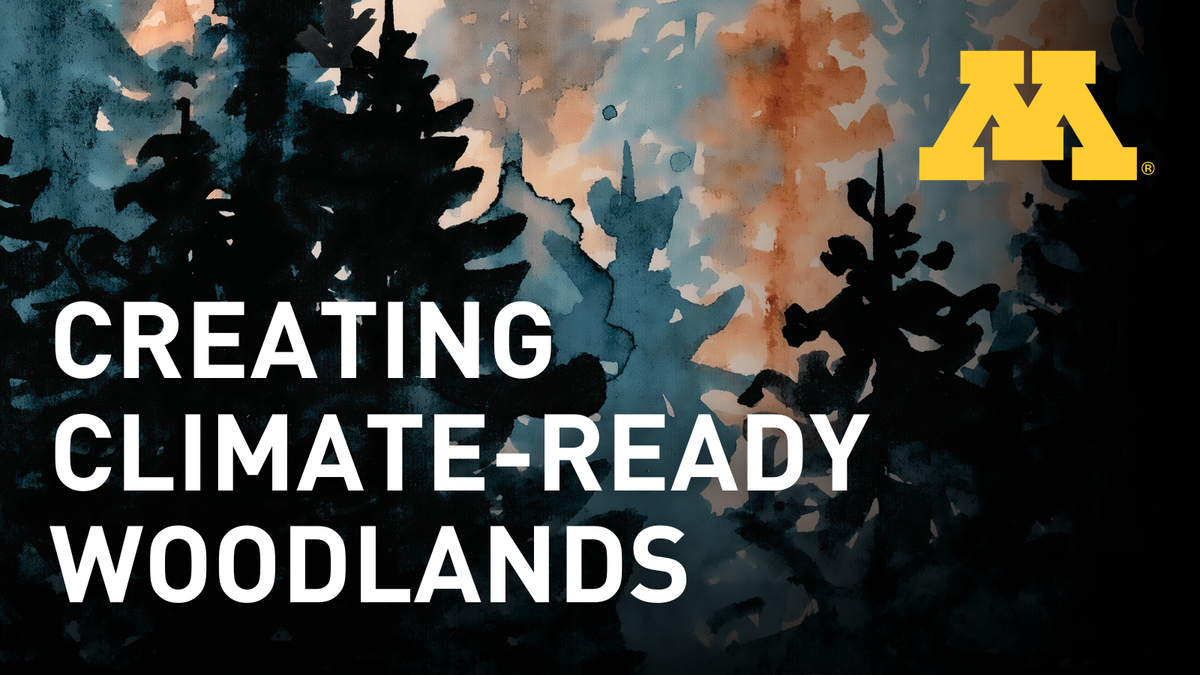 Climate ready woodlands.