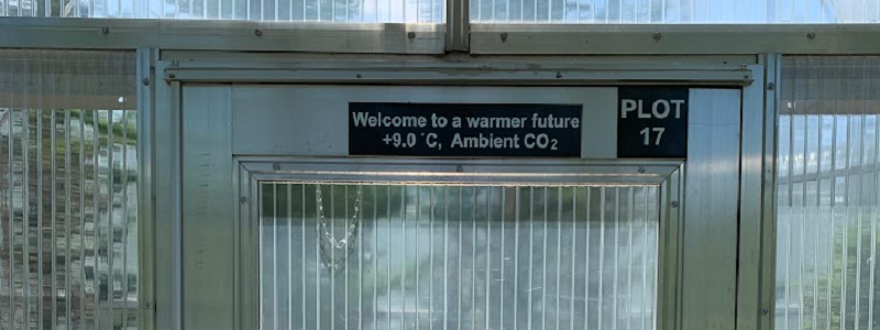 Entry to one of the elevated CO2 chambers at the Marcell experimental forest.