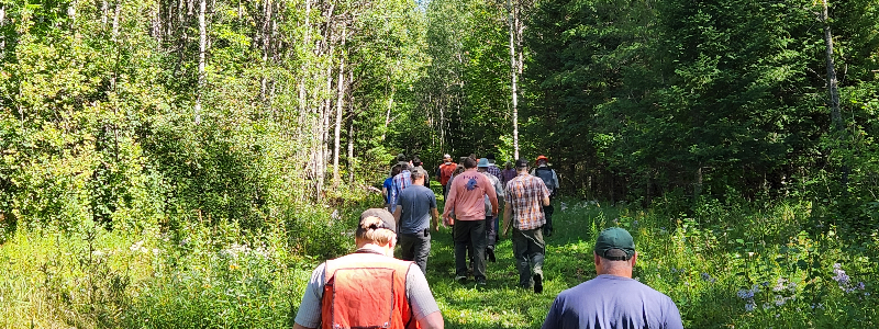 Foresters and loggers touring a variable retention aspen harvest in a WMA.