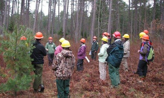 Continuing education students in a forest