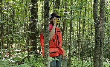 Forester using a laser hypsometer during a forest inventory.