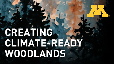 Creating climate-ready woodlands